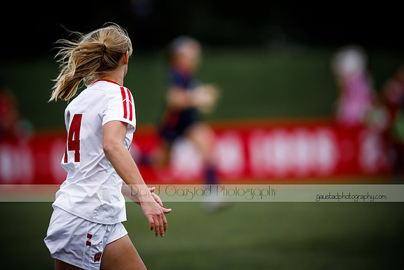 Wisconsin Women's Soccer Team vs. Illinois