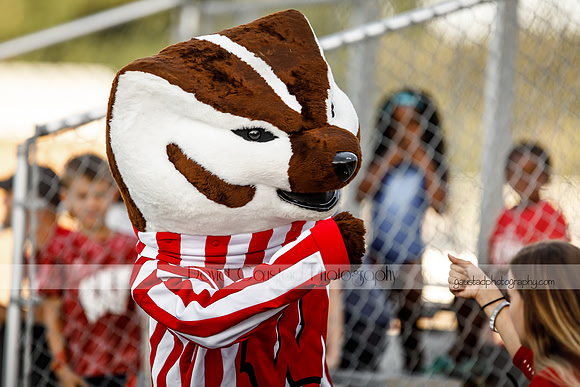 Wisconsin Badgers Women's Soccer vs. Illinois State Redbirds
