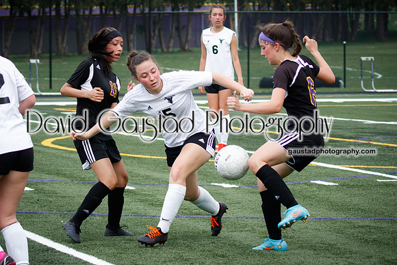 DeForest Area High School Girl's Soccer vs Sauk Prairie