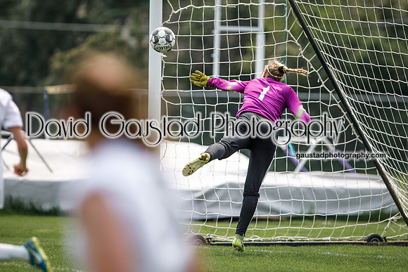 DeForest Norskies Girl's Varsity Soccer vs. Burlington Demons