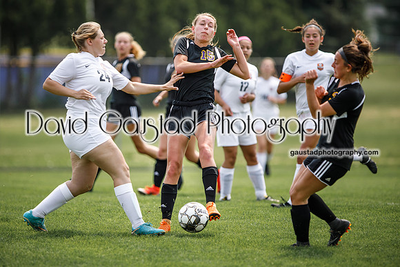DeForest Norskies Girl's Varsity Soccer vs. Burlington Demons
