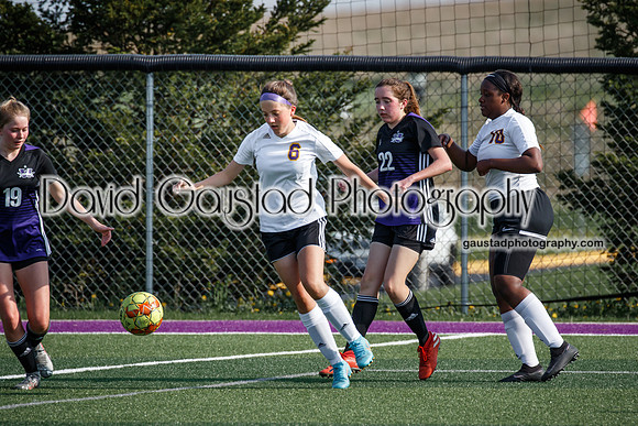DeForest Girl's Soccer vs Waunakee