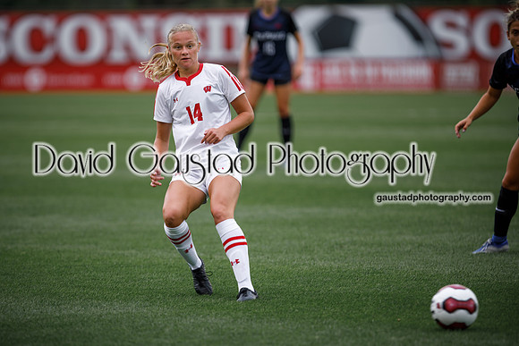 Wisconsin Badgers Women's Soccer vs DePaul