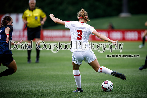 Wisconsin Badgers Women's Soccer vs DePaul