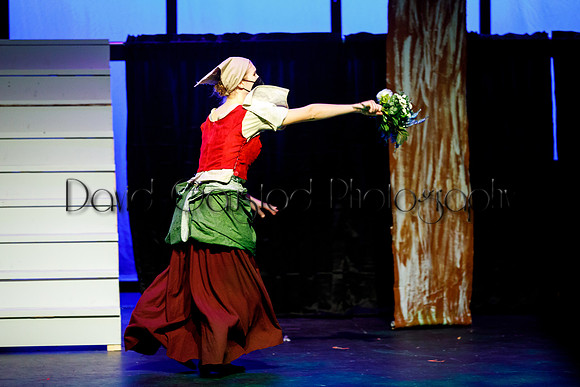DeForest Area High School - Cinderella 2021