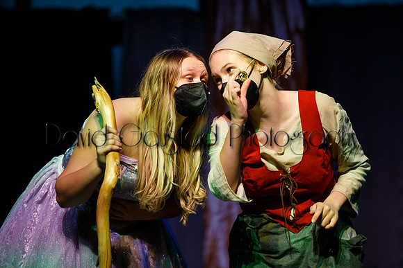 DeForest Area High School - Cinderella 2021