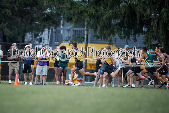 Track WIAA Division 1 Sectional
