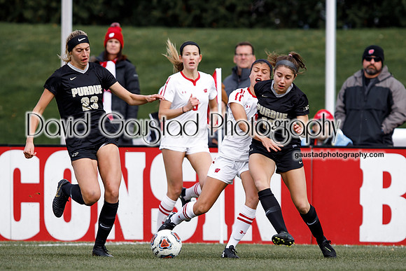 Wisconsin Badgers Women's Soccer vs. Purdue Boilermakers Women's Soccer