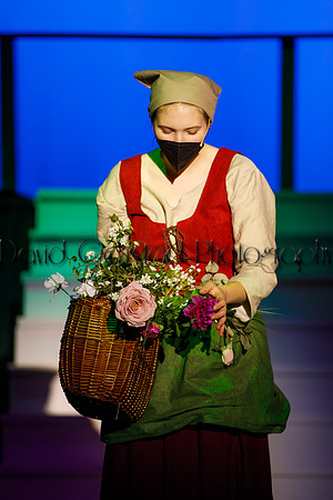 DeForest Area High School - Cinderella 2021