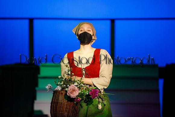 DeForest Area High School - Cinderella 2021