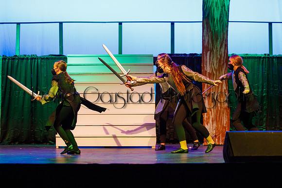 DeForest Area High School - Cinderella 2021