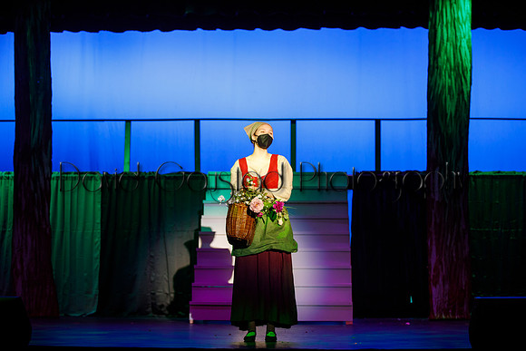 DeForest Area High School - Cinderella 2021