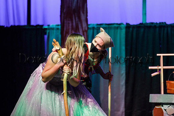 DeForest Area High School - Cinderella 2021