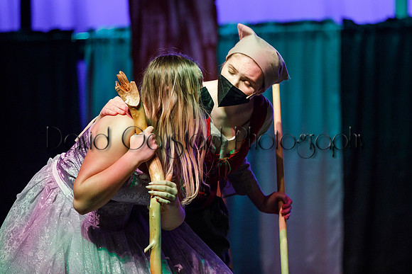 DeForest Area High School - Cinderella 2021
