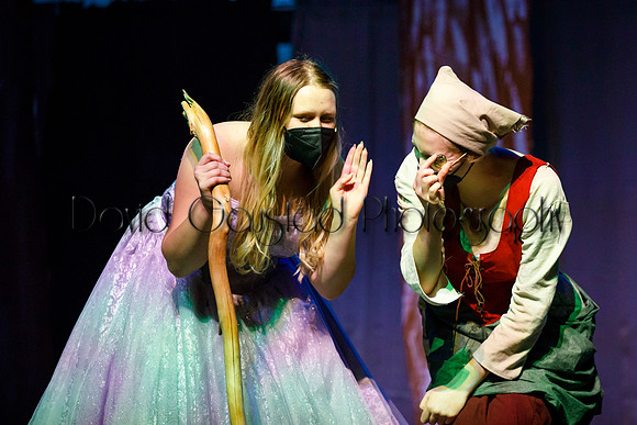 DeForest Area High School - Cinderella 2021