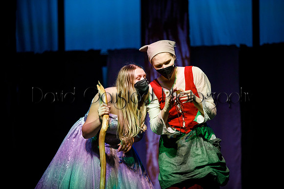 DeForest Area High School - Cinderella 2021
