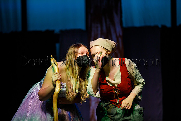 DeForest Area High School - Cinderella 2021