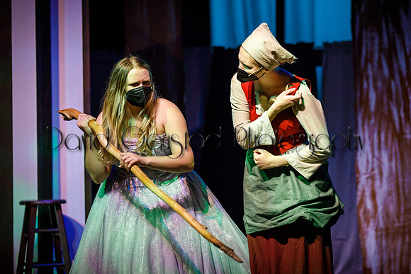 DeForest Area High School - Cinderella 2021