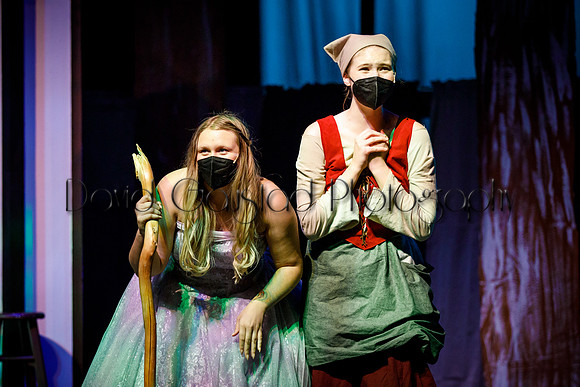 DeForest Area High School - Cinderella 2021