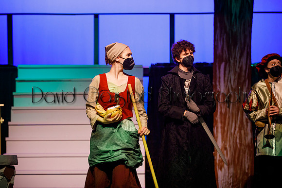 DeForest Area High School - Cinderella 2021