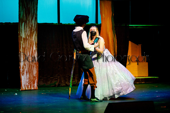 DeForest Area High School - Cinderella 2021