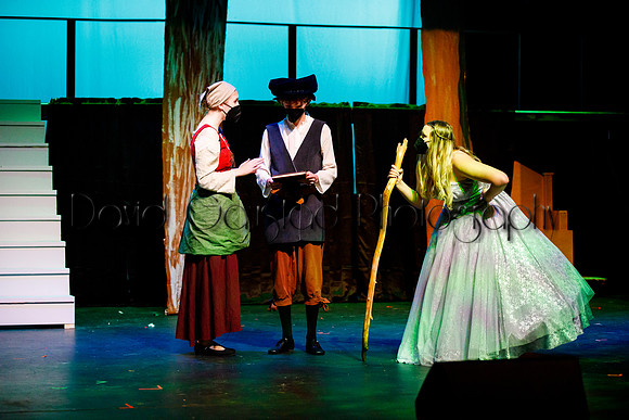 DeForest Area High School - Cinderella 2021