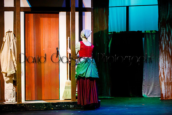 DeForest Area High School - Cinderella 2021