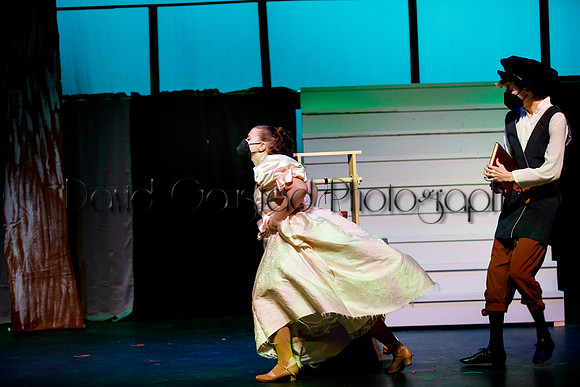 DeForest Area High School - Cinderella 2021