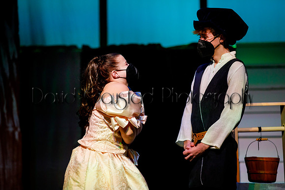 DeForest Area High School - Cinderella 2021