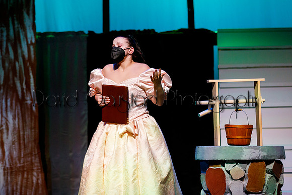 DeForest Area High School - Cinderella 2021