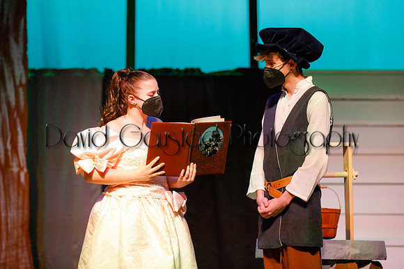 DeForest Area High School - Cinderella 2021