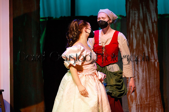 DeForest Area High School - Cinderella 2021