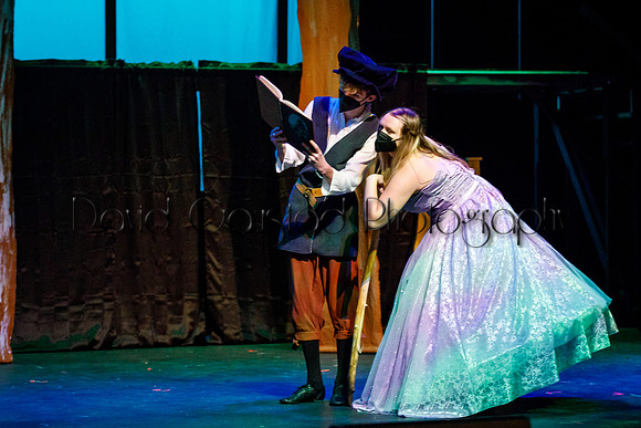 DeForest Area High School - Cinderella 2021