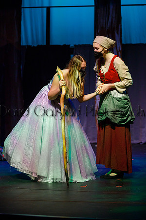 DeForest Area High School - Cinderella 2021