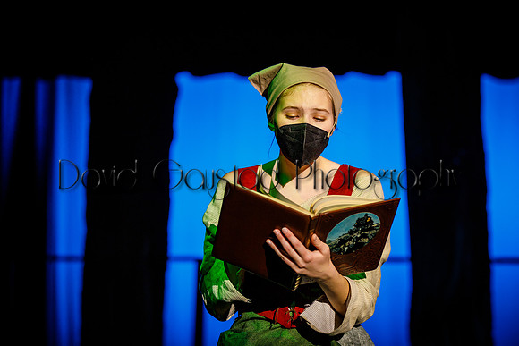 DeForest Area High School - Cinderella 2021