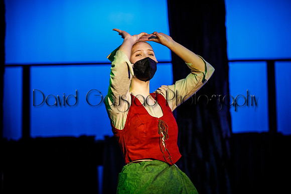 DeForest Area High School - Cinderella 2021