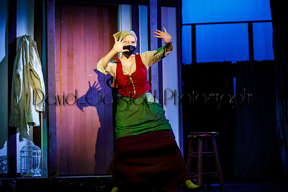 DeForest Area High School - Cinderella 2021