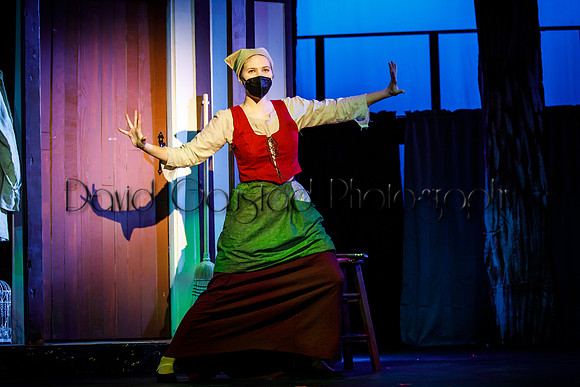 DeForest Area High School - Cinderella 2021