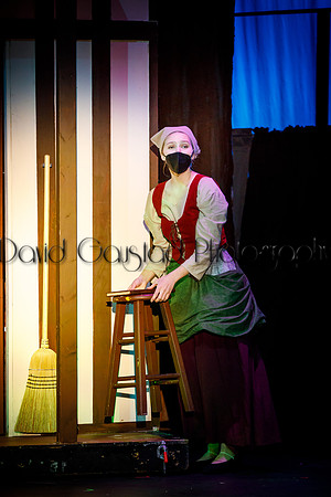 DeForest Area High School - Cinderella 2021