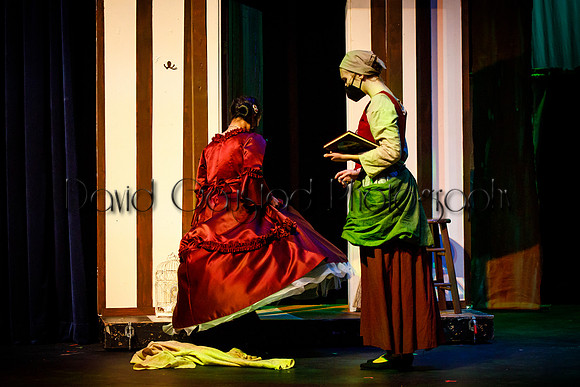 DeForest Area High School - Cinderella 2021