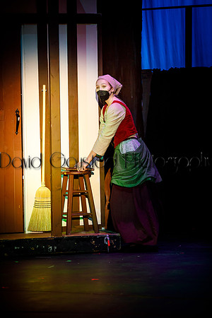 DeForest Area High School - Cinderella 2021