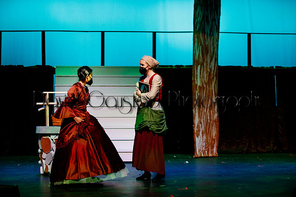 DeForest Area High School - Cinderella 2021