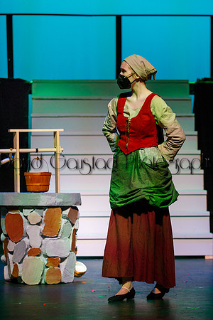DeForest Area High School - Cinderella 2021