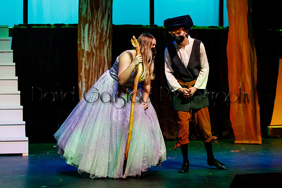 DeForest Area High School - Cinderella 2021