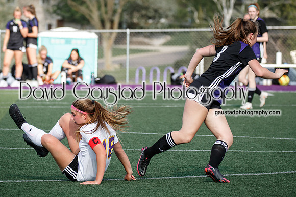 DeForest Girl's Soccer vs Waunakee