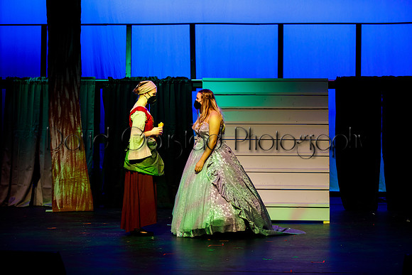 DeForest Area High School - Cinderella 2021