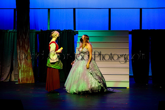 DeForest Area High School - Cinderella 2021