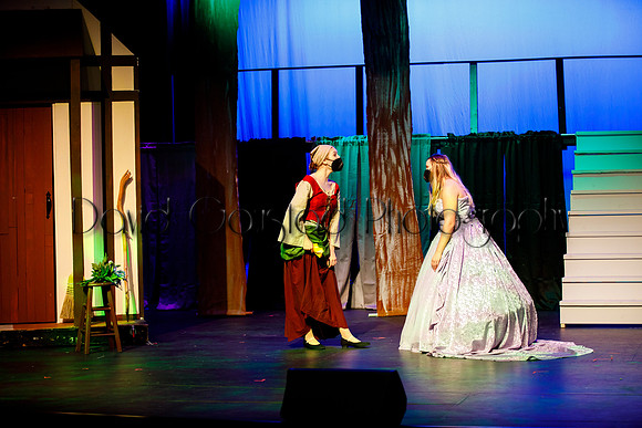 DeForest Area High School - Cinderella 2021