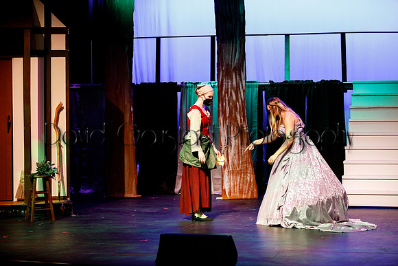 DeForest Area High School - Cinderella 2021