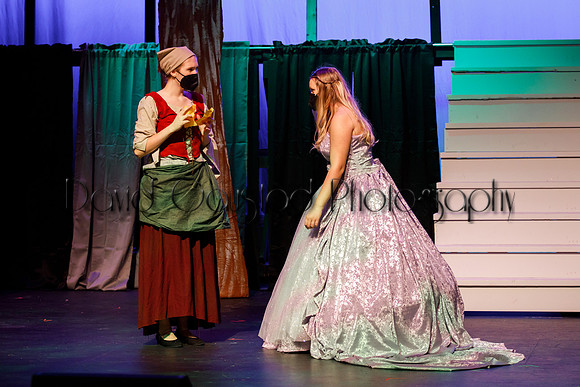 DeForest Area High School - Cinderella 2021